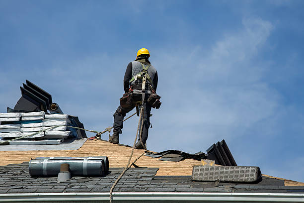 Professional Roof Replacement technician working in Mount Hermon, KY
